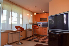 Studio Apartment Kolomenskoye Park, Moscow